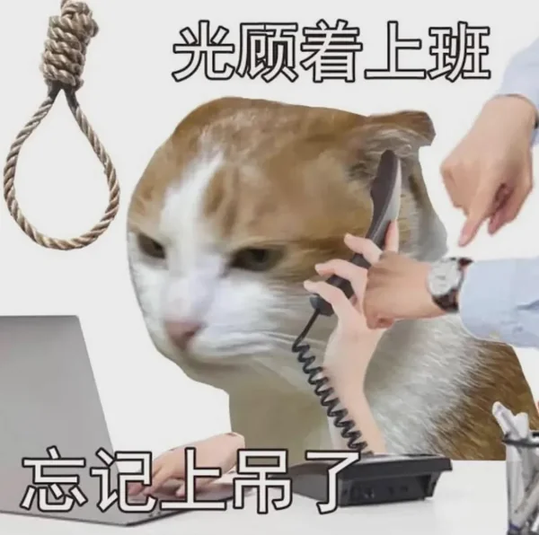 A busy cat